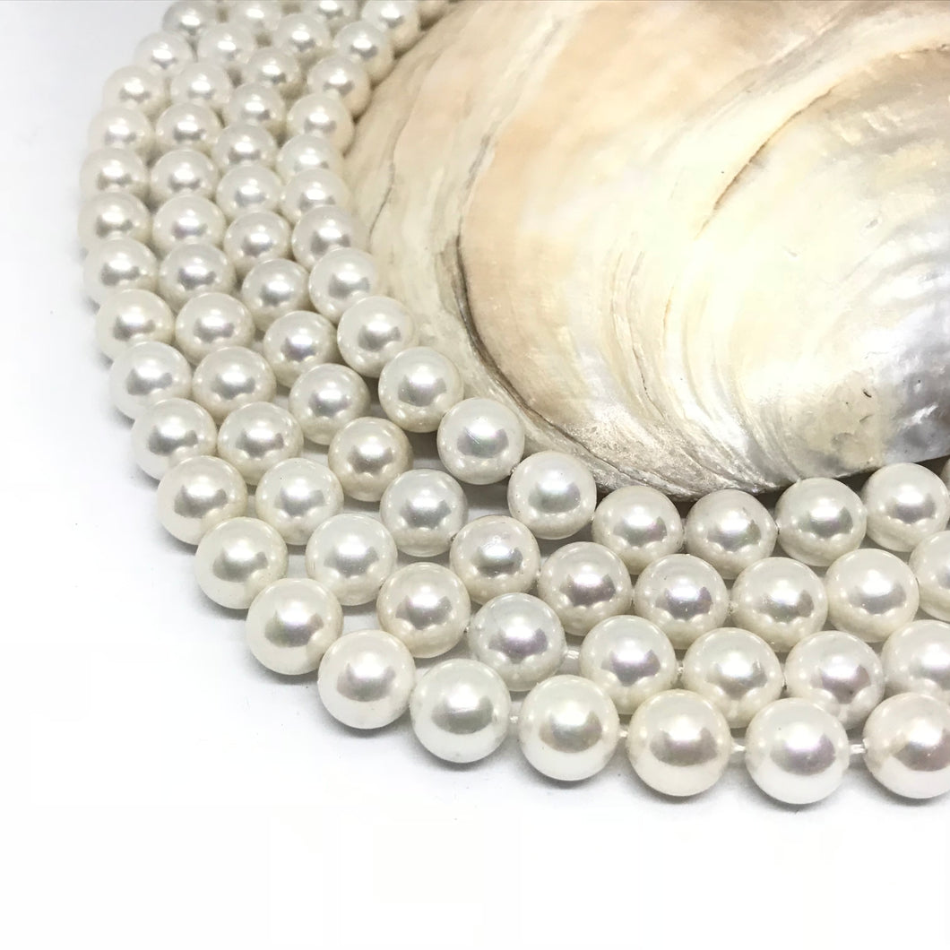 PERLA SHELL | 10MM | BLANCO 1